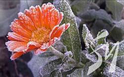 �� -5 �������: �� ����������� ���������� ����� ���������