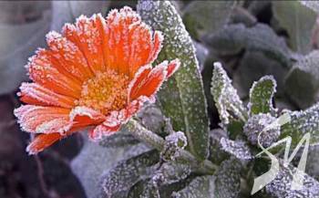 �� -5 �������: �� ����������� ���������� ����� ���������