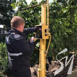   157    Pietro Fiorentini