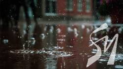 �� ����������� �� �������� ��������� �������� �� ��������� �������� ������ ����� �����