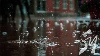 �� ����������� �� �������� ��������� �������� �� ��������� �������� ������ ����� �����