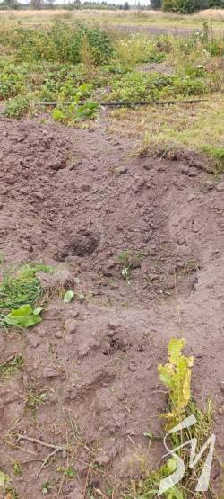 ������ ���� ������ � ������� � ��� ��������� 5 ������ �� �������