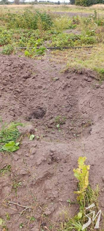 ������ ���� ������ � ������� � ��� ��������� 5 ������ �� �������