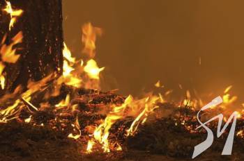 � �������� ������� ������ � ���� �������� ��������