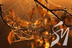 �� ����������� ������ ������ ���: ��������� ����������� ����� ������