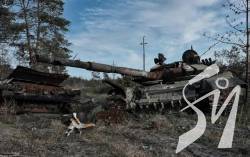 ����� ��*� �� ���� ������������: ������� ���������� �� � ����'�, � ������������ ���