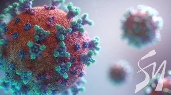 � ������ �� ������� - ����� 20 ���. �������� ������������ - ���