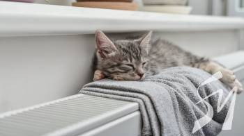 � �������� ������ ��������� ������ ������� �� ��������