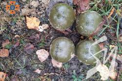 �� ������� �� ����������� �������� 352 ���������������� �������� - ����