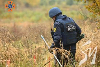 �� ������� ������� �� ����������� �������� 377 ����������������� ��������