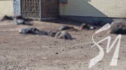 �����������, ��� ��������� ����� �������, ���������� ������������ �� ������ ����� �� �����