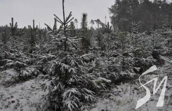 �� ����������� ������ ������� ������� �������� ���������� ������