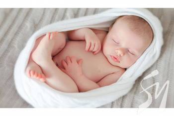 ���������� ���������� �������� �� ���� ������ 51 ����������� ������ � ��������