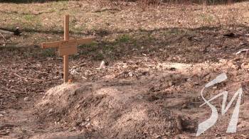 �� ����������� �������� �������� ����� �������� 650 ��������, ����� ������ �������� ��������