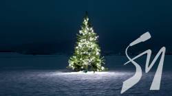 �� �������������� ����� �� � ������ ������� ����� �� �����������: ������ ���� ������� ������