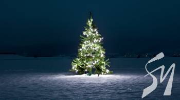 �� �������������� ����� �� � ������ ������� ����� �� �����������: ������ ���� ������� ������