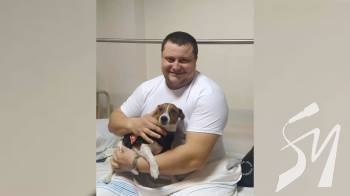 �������� ����������: ���� ���� � ������������� ������������ ���������, ���� �������� �� ���