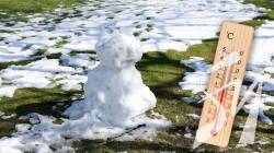 � �������� 1 ���� ���� ���������� �� ������� 16 ����