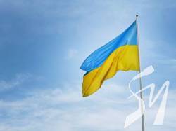 85% �������� ����� ������������� �������� ������ ��� ���������� ����, � ����������