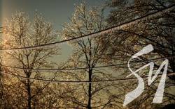 �� -15 �������. �������� �������� ������ ������ � ������