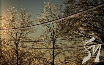 �� -15 �������. �������� �������� ������ ������ � ������