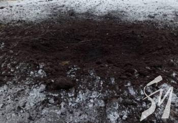 ������ 50 ���������: ������ ����������� ������������ ����� �����������