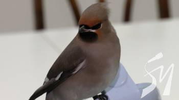 ����� ����� �� ������� ���������: ���� ���� ������ �� �� �� ���������