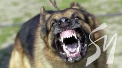 � ������������� ������ ������� �������� ���� ������: ��� � ������