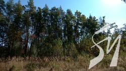 �������� �������� ���������� �������: �������� ����������� ������� ���������� �� ����� �� ����