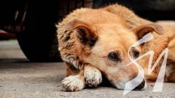 ������ ������� ���� ������: ��� ���� ����� � ���� � �������� �� ��������� � ��������