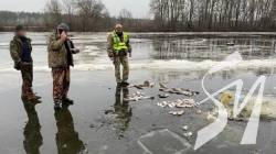 ��������� � ����������� ��������� ������� ���� �� ����� 186 ����� �������