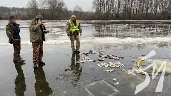 ��������� � ����������� ��������� ������� ���� �� ����� 186 ����� �������