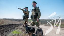 �����������, ����� � ���������: ������������� ����������� �������� ��� ���� ������ � 2022 ����