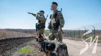 �����������, ����� � ���������: ������������� ����������� �������� ��� ���� ������ � 2022 ����