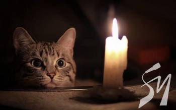 � ���� �� 40% ���������� ����������� ��� �����, � �������