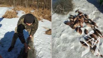 �� ��������-ѳ������� ��������� �������, ���� ��������� ������� ���� �� 67 ����� �������