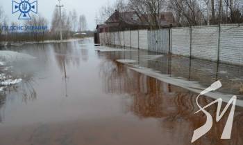 �� ����� �����������  �������� ��������� �����