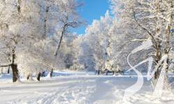 ������ � �������� ��������� ����������� �� 13 ������� ������