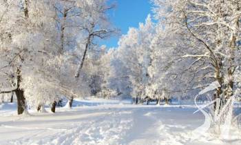 ������ � �������� ��������� ����������� �� 13 ������� ������