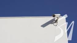 � �������� �������� �������� ������ ����� �������������