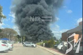 ˳��� �������� �� ������ ���������� 100 �����