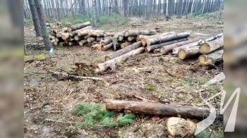 � ���������� ������ ��������� �������� ������ �� ����� 1,5 ������� �������