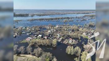 ����������� ��� �� �������� �������: �� ����������� ����� ��������� ���� ���� �������� ����