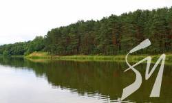 � �������� � ���� �������� ������� ���