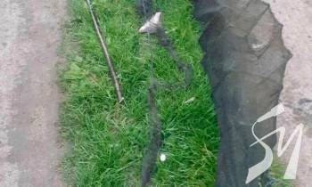 � ������� ��������� �������� �� ����������� ����������� 28 ��������