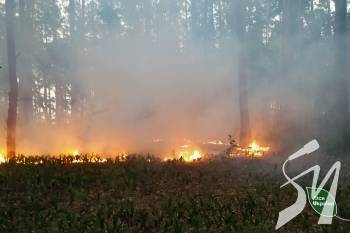 �� ����������� �������� � ������ �������, �� ������� ����� ������� ��������