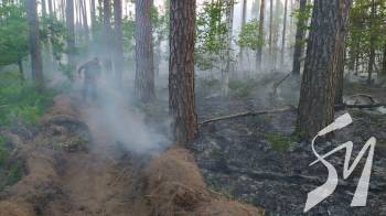 ˳���� ������ � ����������� �����������, ��� ���������� ������� �������, ��������