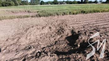 ���������� �������: ������ ������ ��������� ����������� �����������