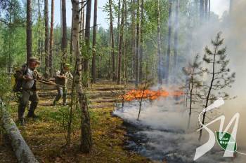 ������� �������� ���������� �������: �� ��������-ѳ������� �������� � ������ �������