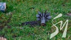 ������ ������ ��������� ���� � ����������� �����������